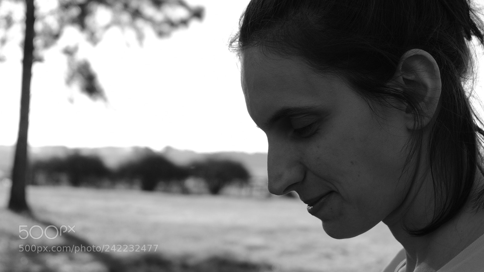 Fujifilm X-T20 sample photo. Untitled photography