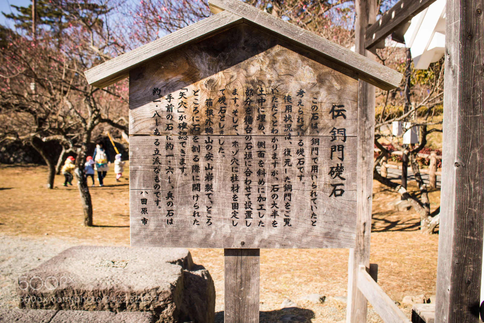 Canon EOS 750D (EOS Rebel T6i / EOS Kiss X8i) sample photo. Changing culture photography