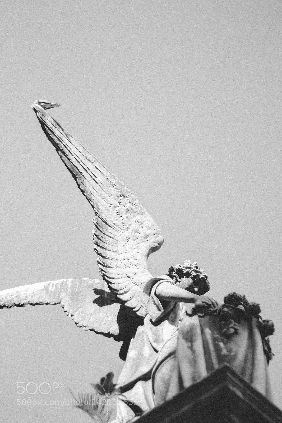 Canon EOS 700D (EOS Rebel T5i / EOS Kiss X7i) sample photo. Angel photography