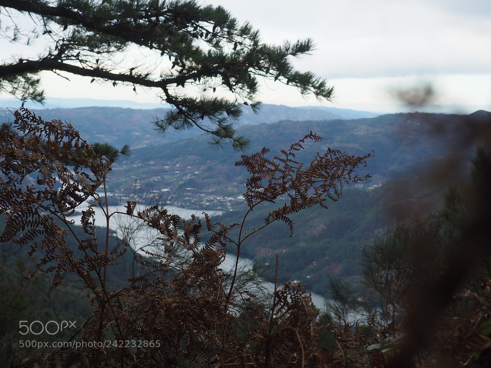 Olympus OM-D E-M10 II sample photo. Gerês , portugal. photography
