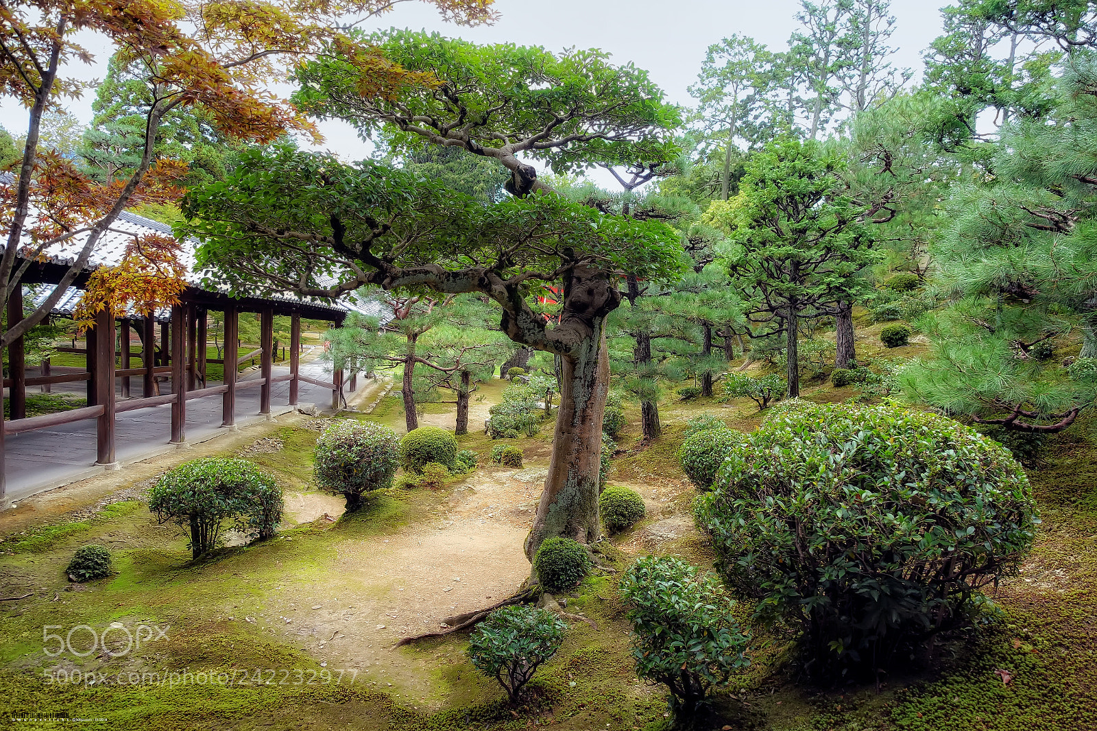 Sony Cyber-shot DSC-RX100 III sample photo. Garden at tofuku-ji temple photography
