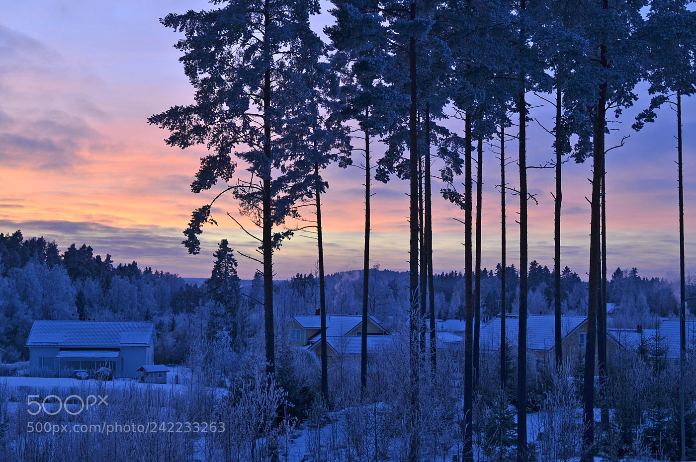 Nikon D3100 sample photo. Winter pastels photography