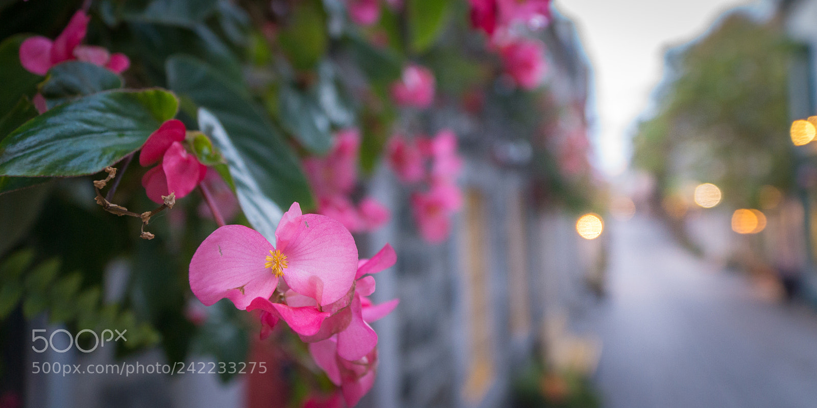 Sony SLT-A77 sample photo. Basse-ville - vieux qu photography
