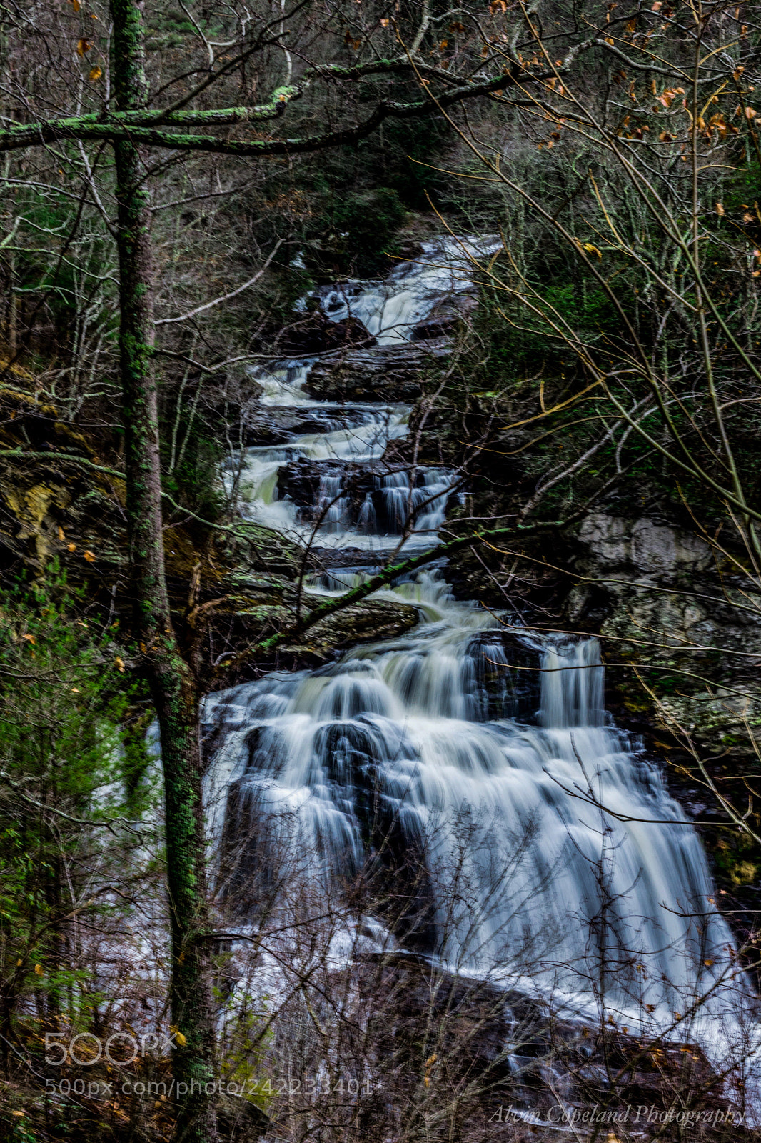 Nikon D7200 sample photo. Downward flow photography
