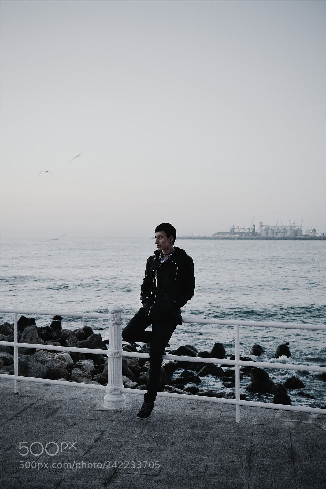 Nikon D3100 sample photo. Black sea pose photography