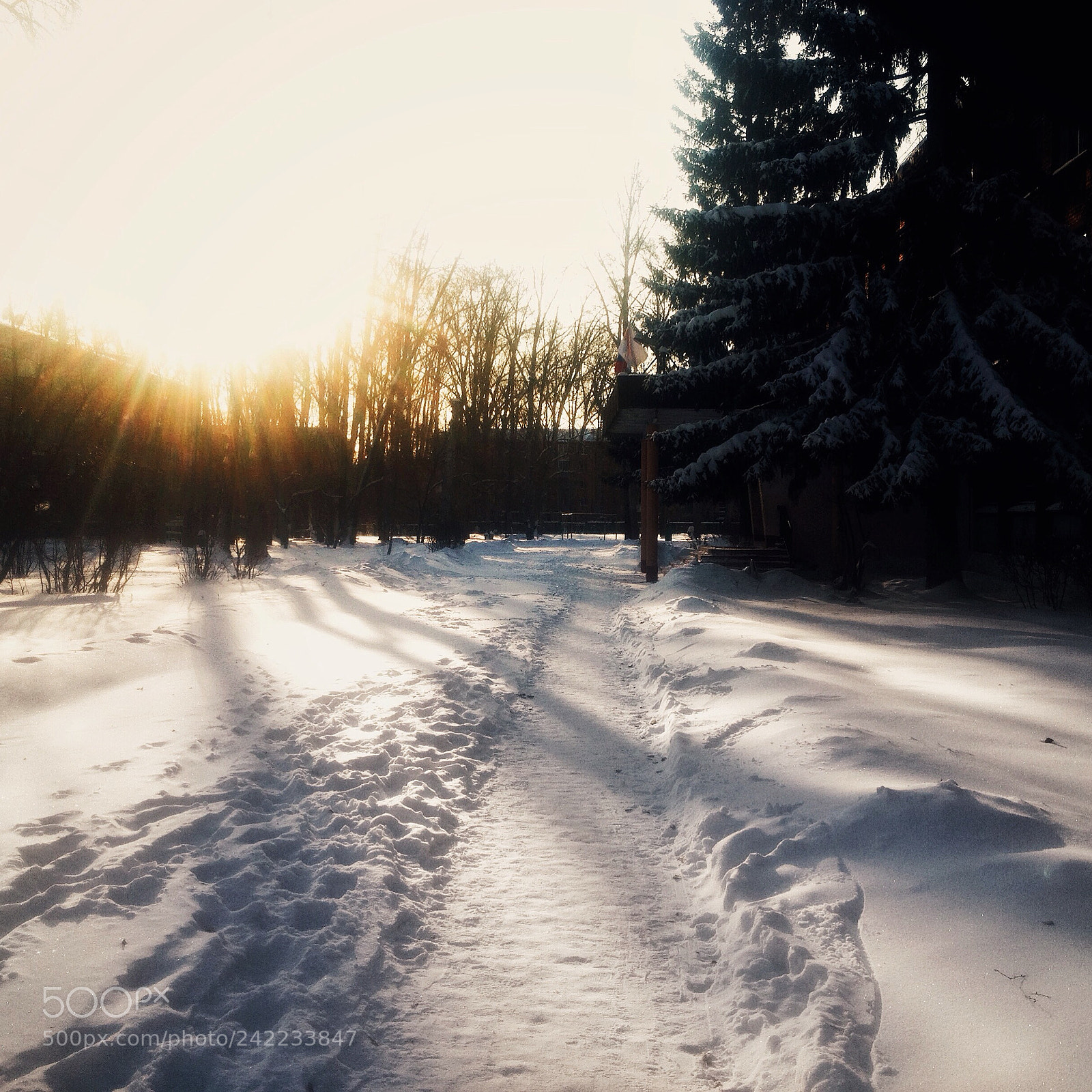 Apple iPhone 4S sample photo. Winter. snow photography