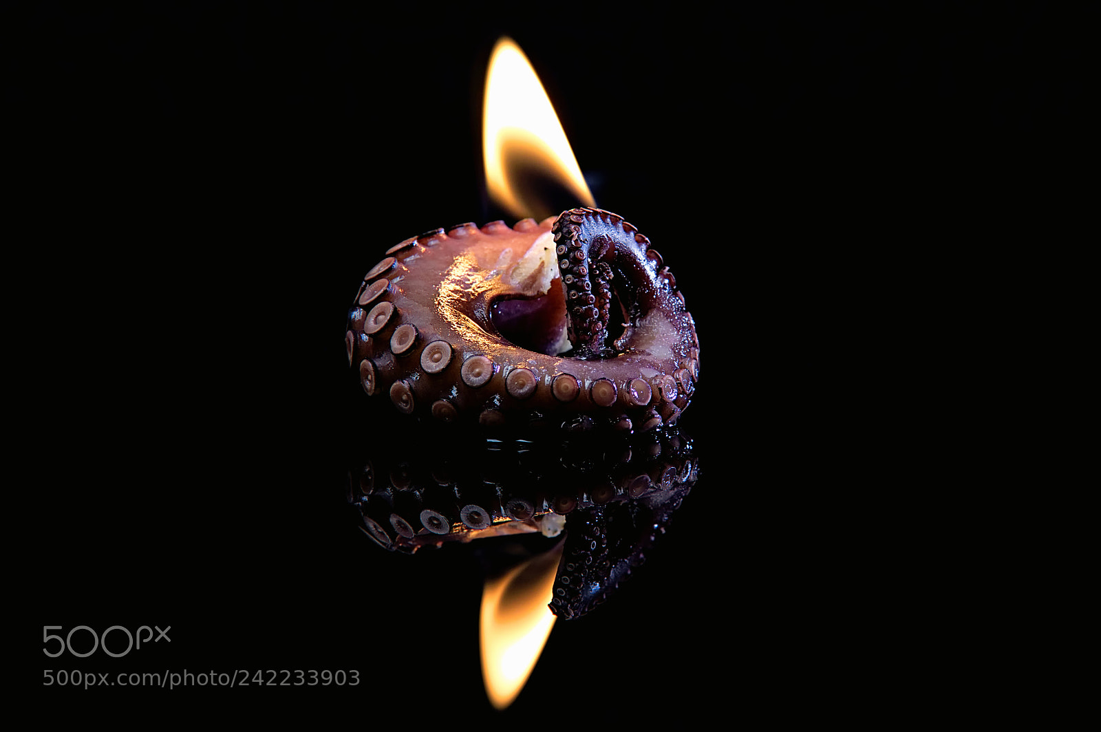 Canon EOS 750D (EOS Rebel T6i / EOS Kiss X8i) sample photo. Tentacles photography