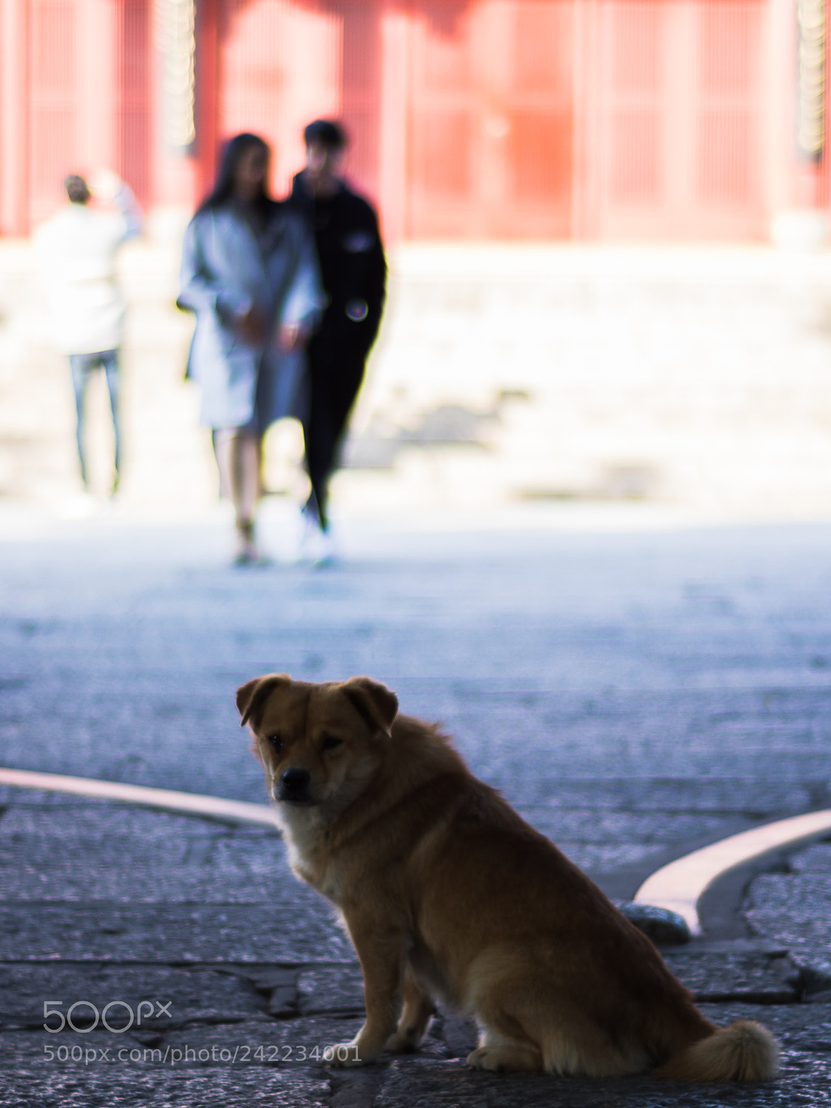 Nikon D7100 sample photo. Untitled photography