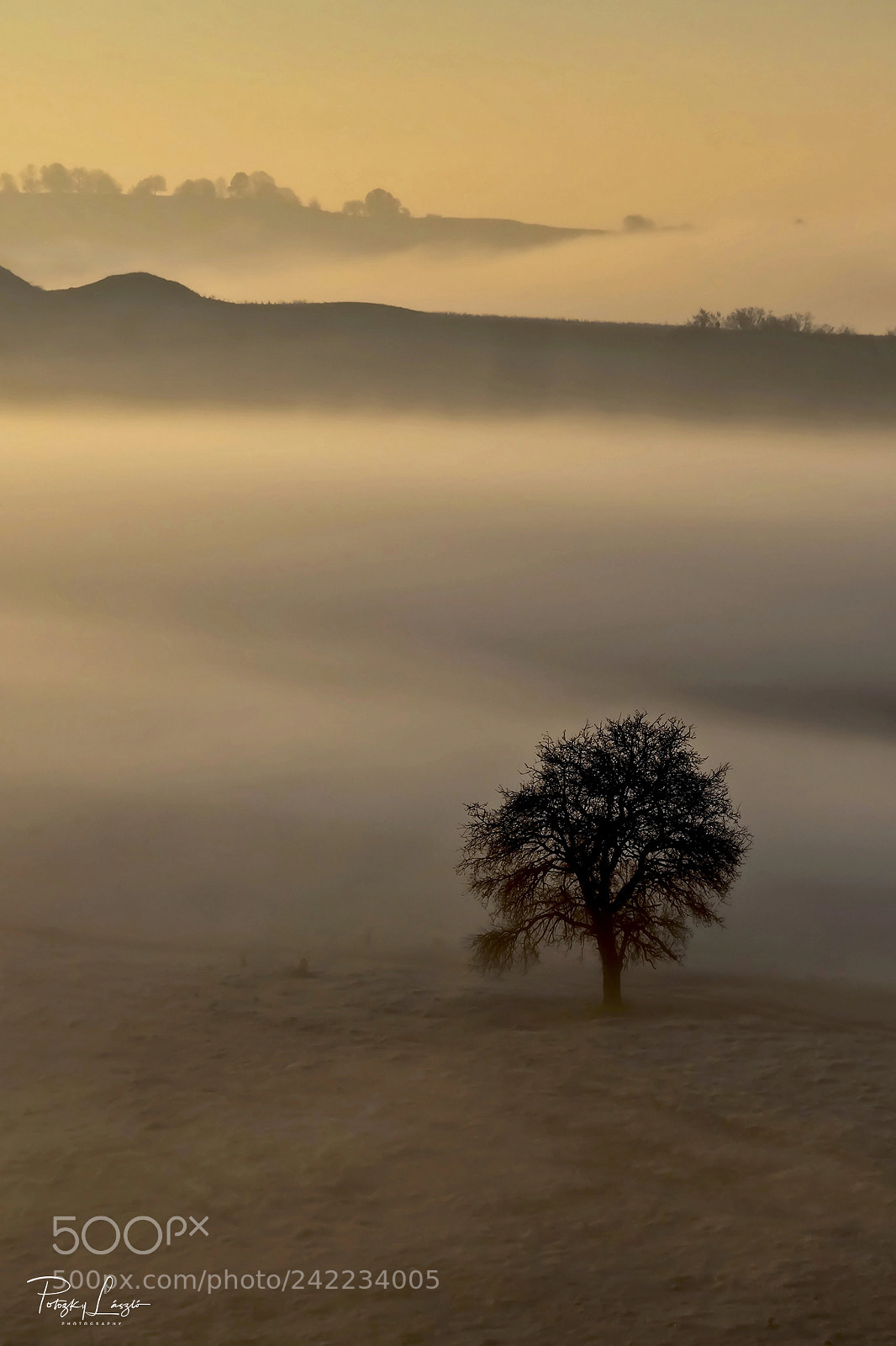 Olympus OM-D E-M1 Mark II sample photo. Foggy dawn photography