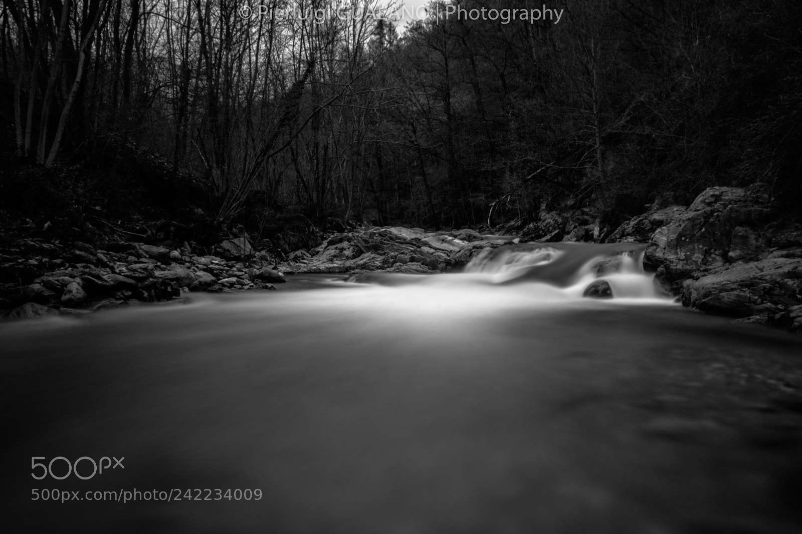 Nikon D7200 sample photo. Little creek photography