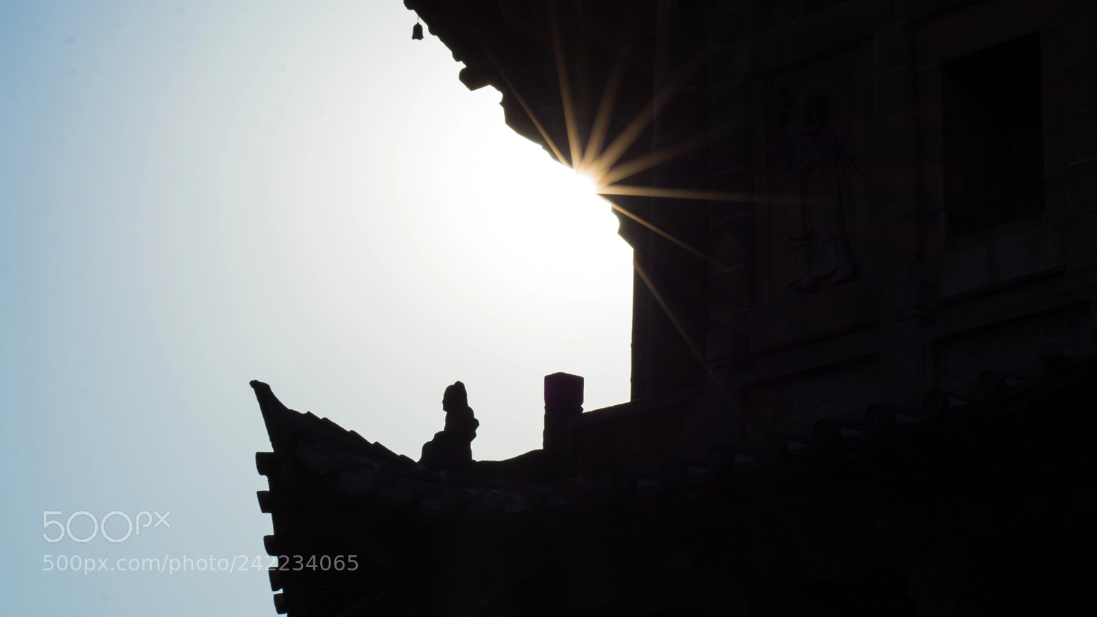 Nikon D7100 sample photo. Untitled photography