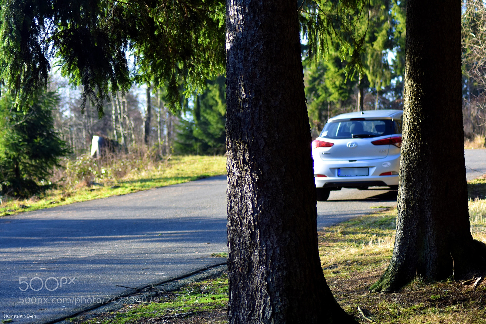 Nikon D3400 sample photo. Ready to go! photography