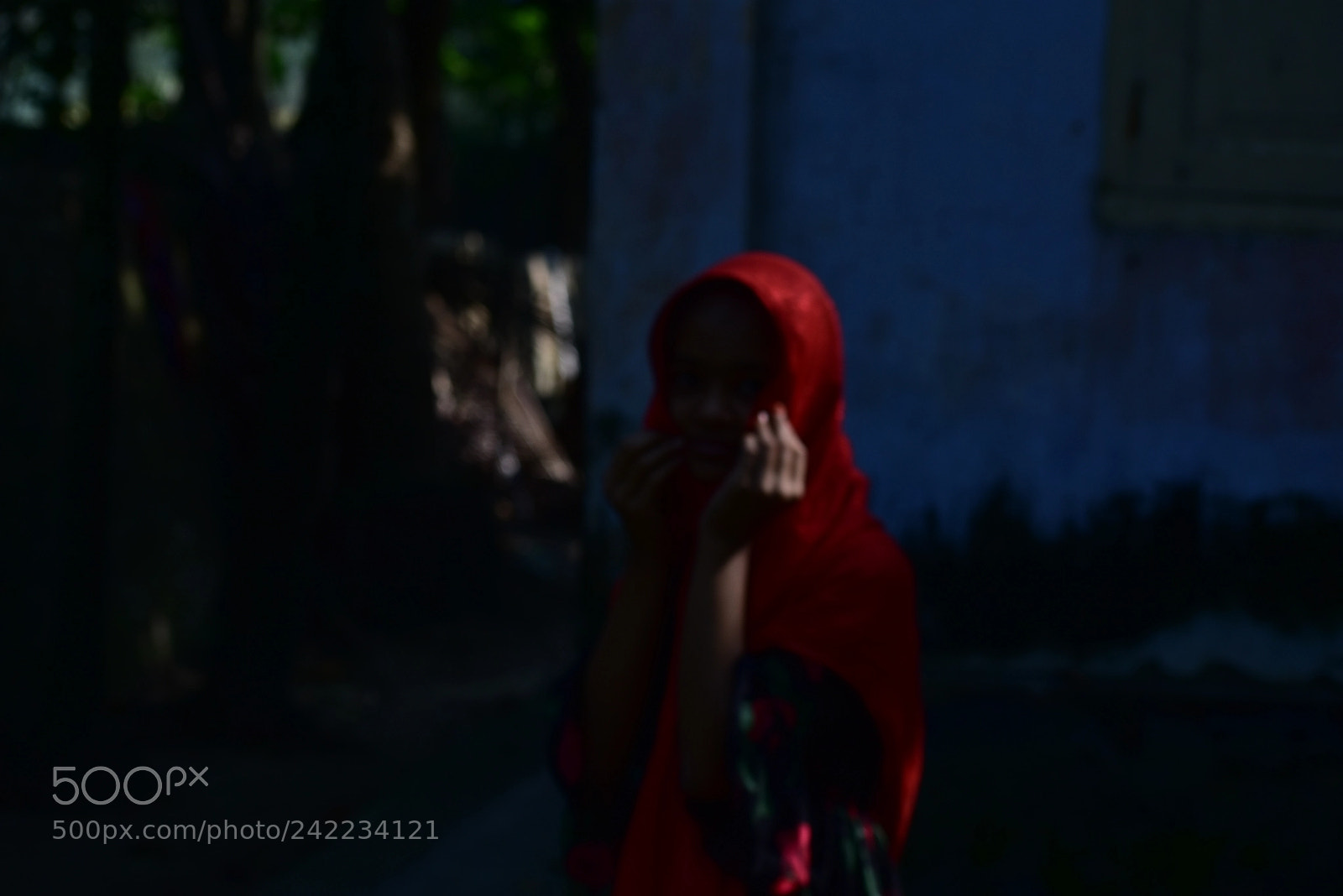 Nikon D3400 sample photo. Glimpse photography