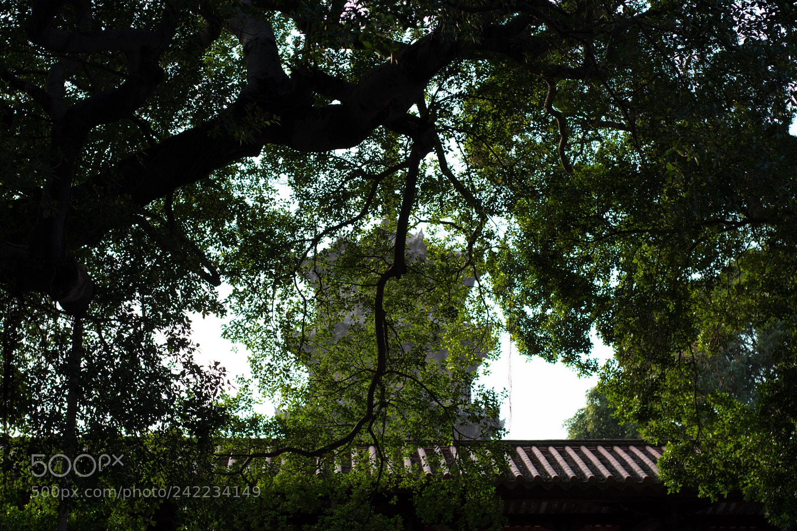 Nikon D7100 sample photo. Untitled photography