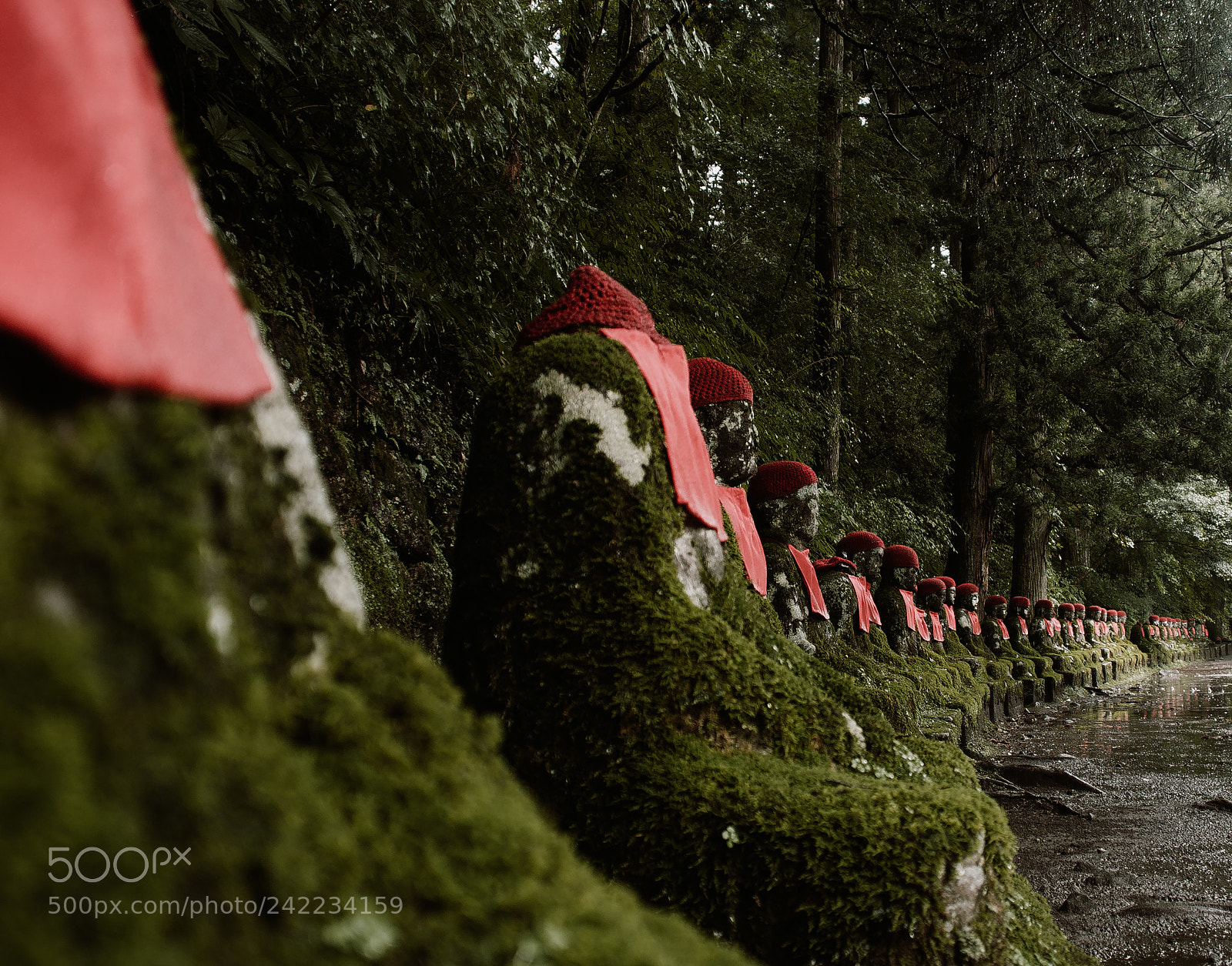 Nikon D80 sample photo. Jizo photography