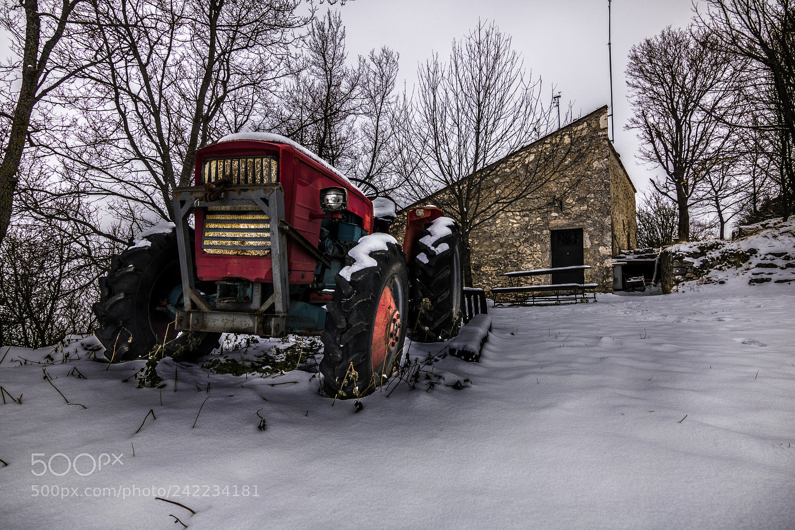 Canon EOS 750D (EOS Rebel T6i / EOS Kiss X8i) sample photo. Sotto la neve photography