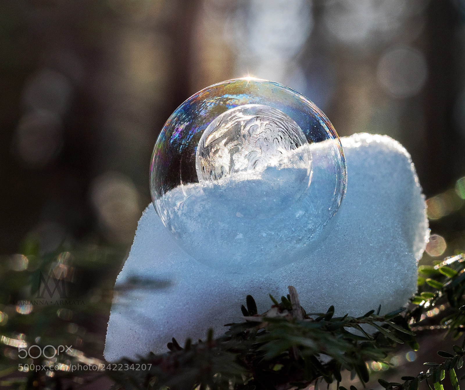 Panasonic Lumix DMC-GH4 sample photo. Double bubble photography