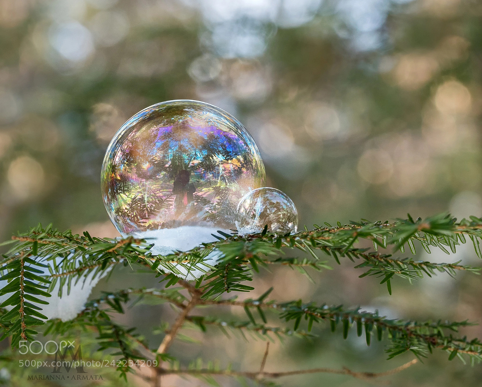 Panasonic Lumix DMC-GH4 sample photo. Selfie in a rainbow photography