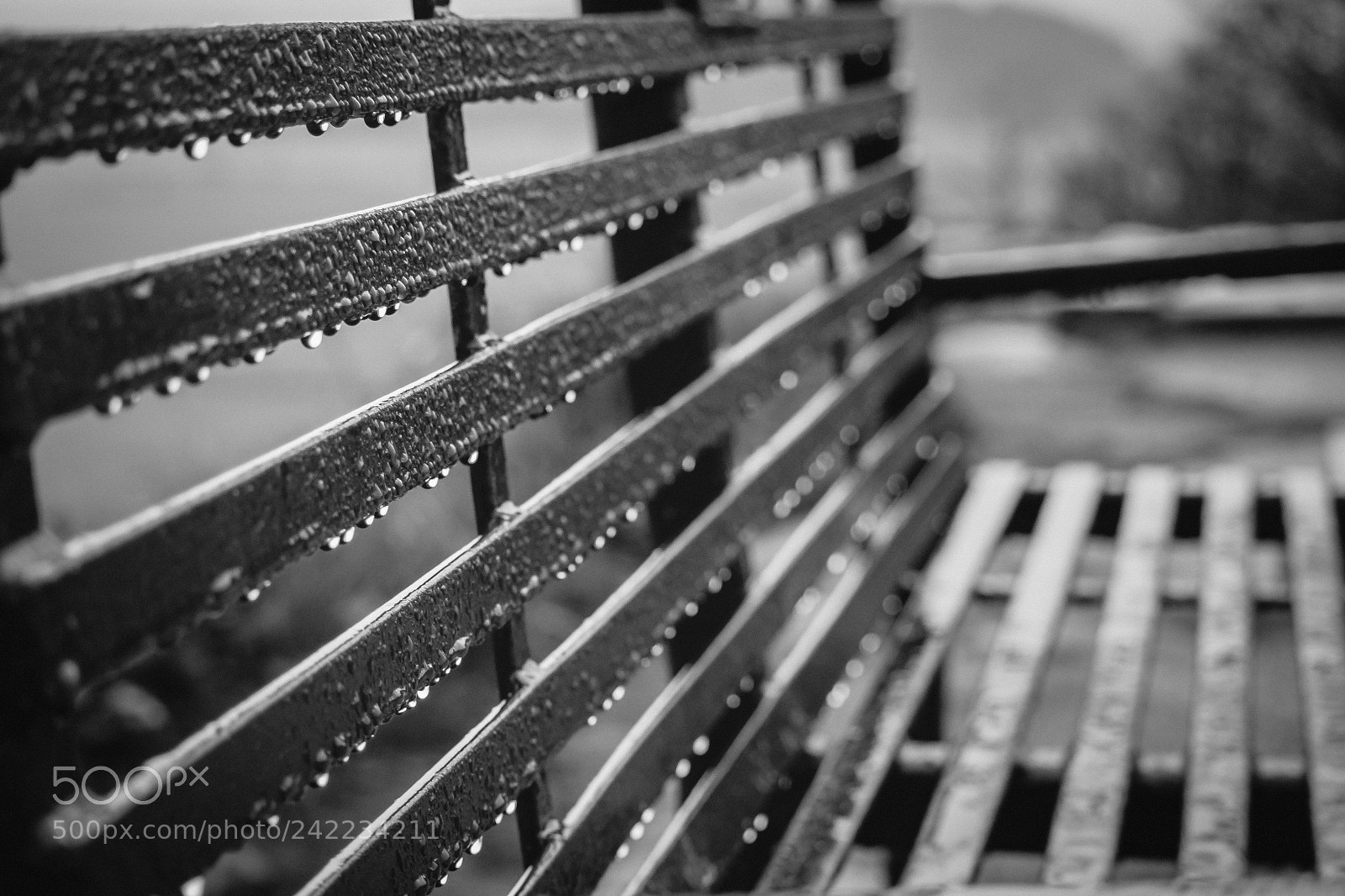 Olympus PEN E-PL5 sample photo. Bench in the rain photography