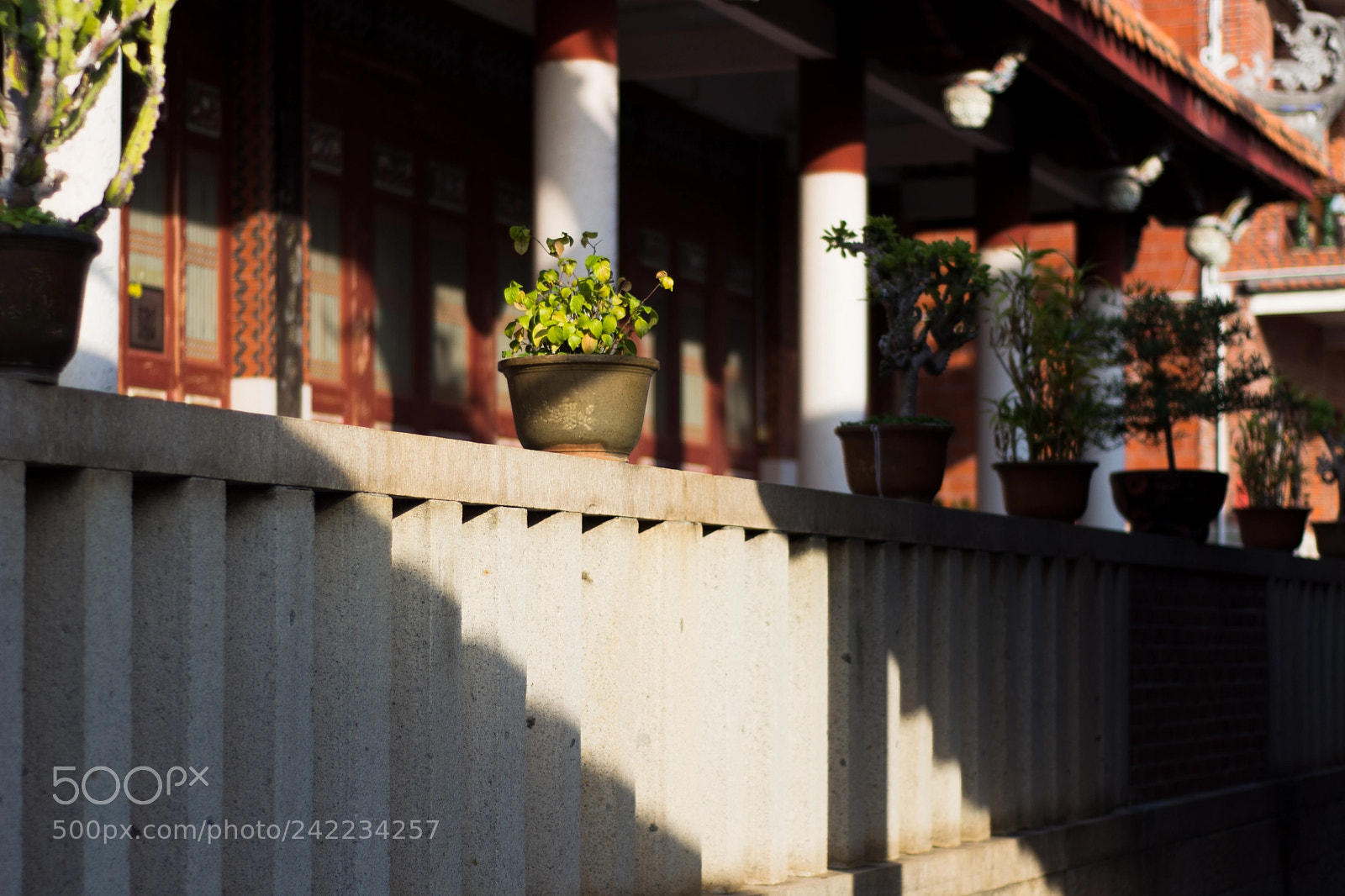Nikon D7100 sample photo. Untitled photography