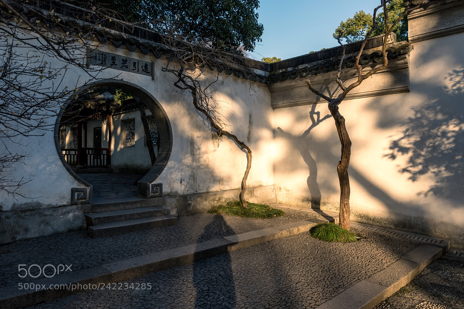 Nikon D810 sample photo. 虎丘光影！ photography