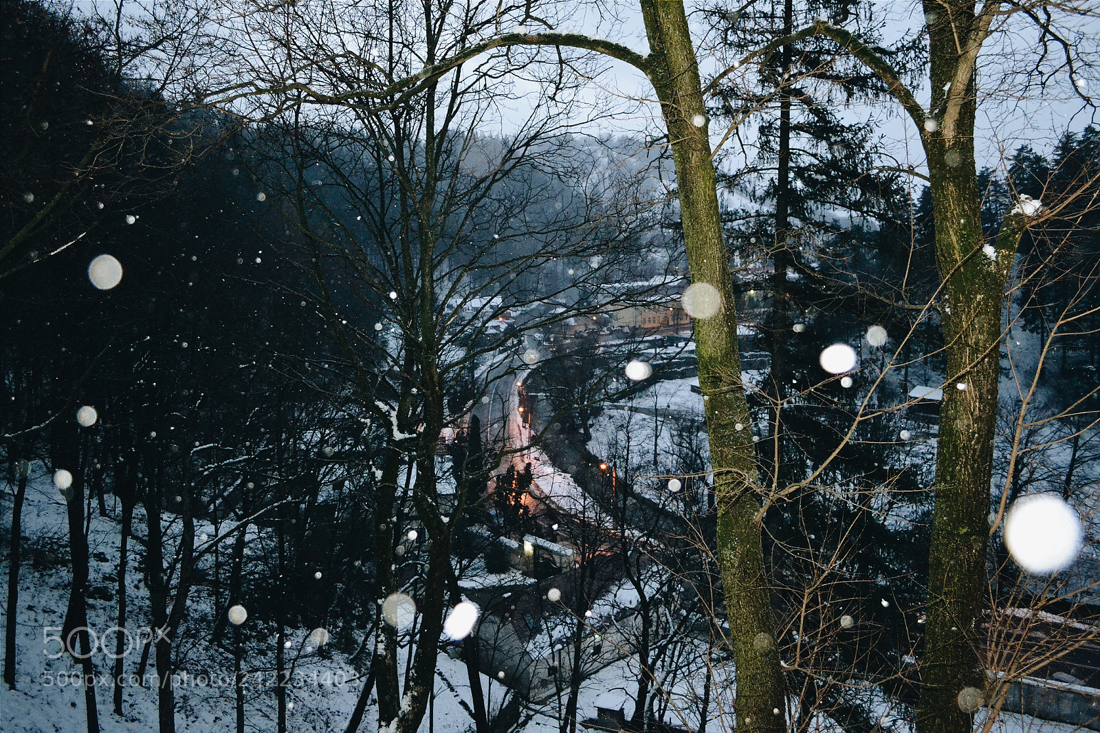 Nikon D3100 sample photo. Snow flakes photography
