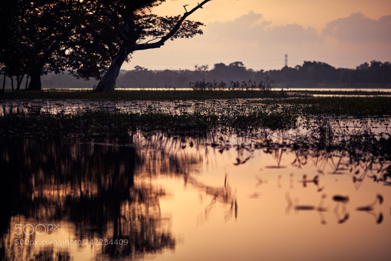Canon EOS 5DS R sample photo. Sri lanka photography