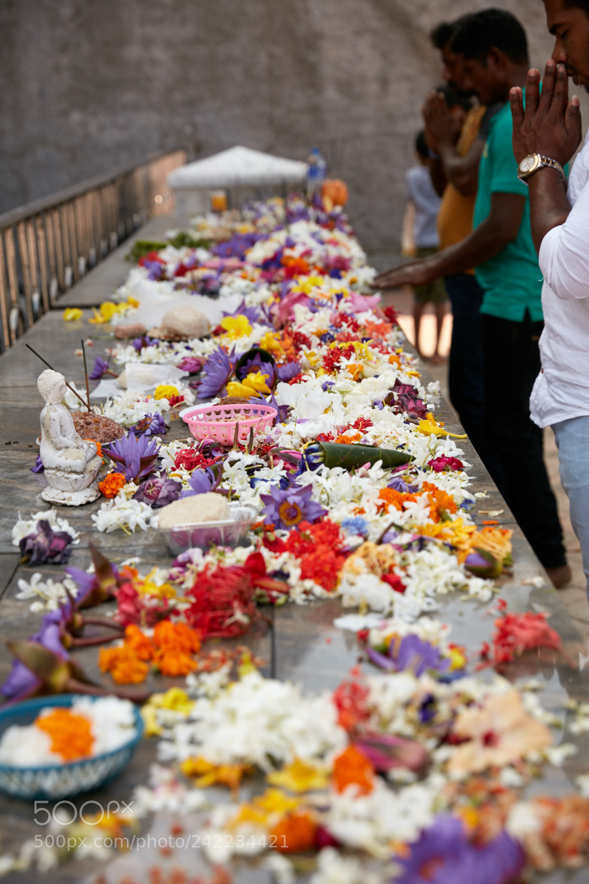 Canon EOS 5DS R sample photo. Sri lanka photography