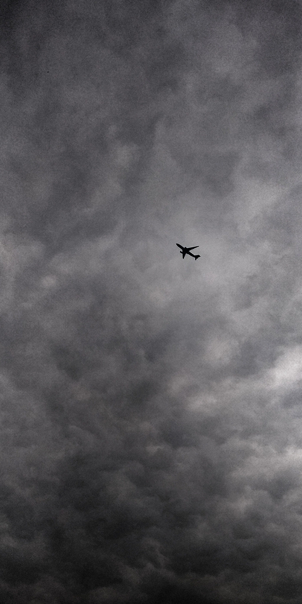Xiaomi Redmi 5 Plus sample photo. Fly photography