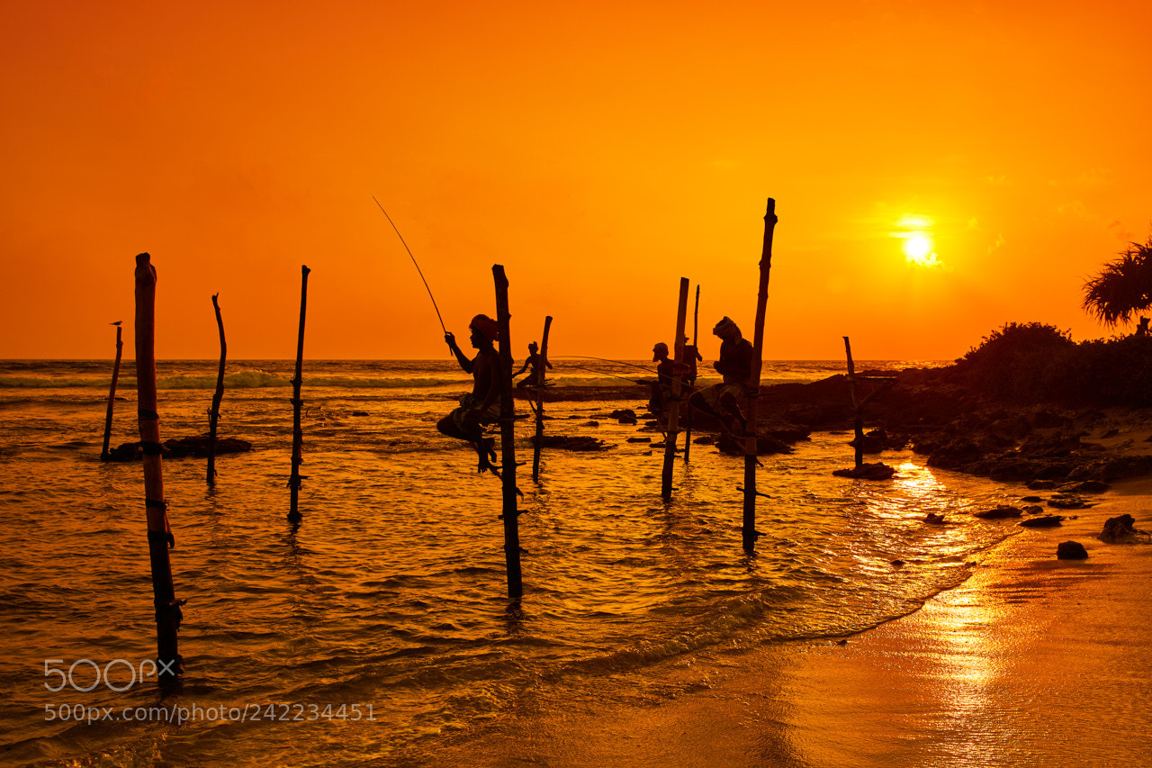 Canon EOS 5DS R sample photo. Sri lanka photography