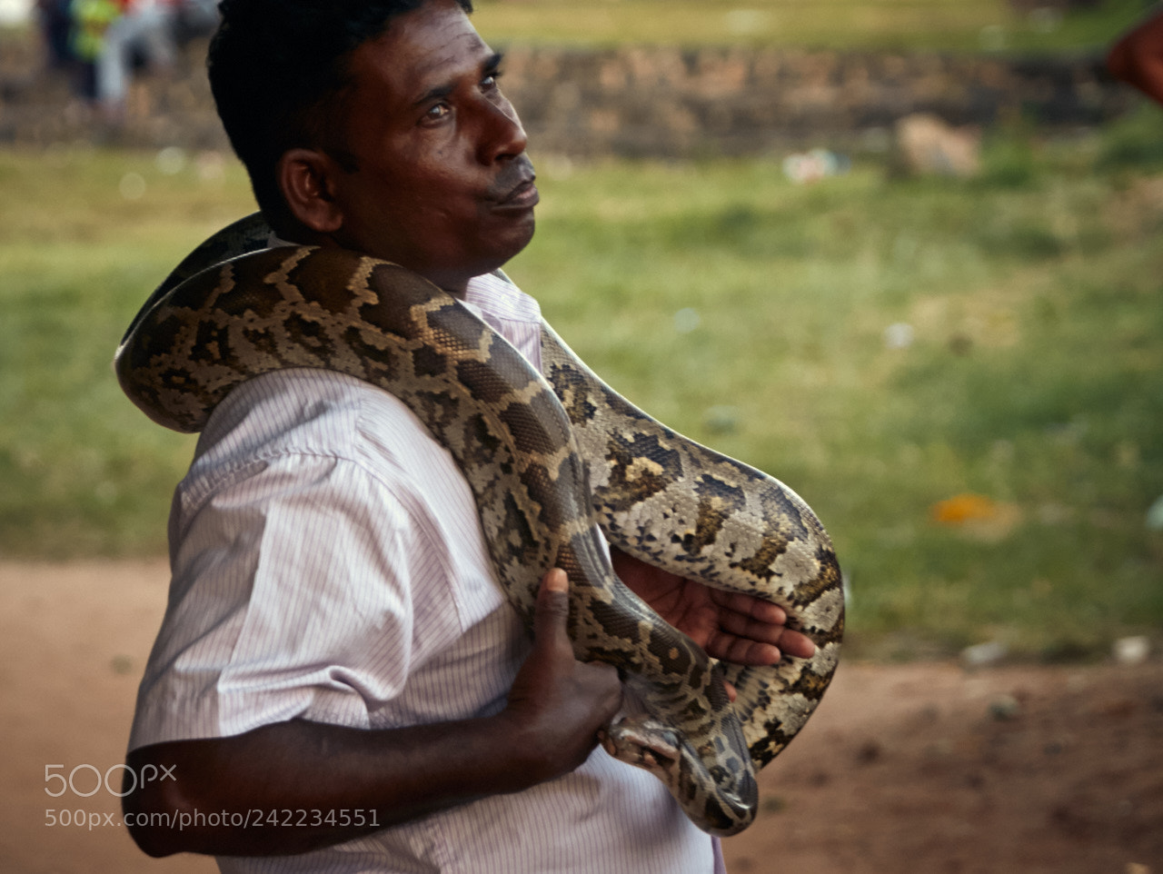 Canon EOS 5DS R sample photo. Sri lanka photography