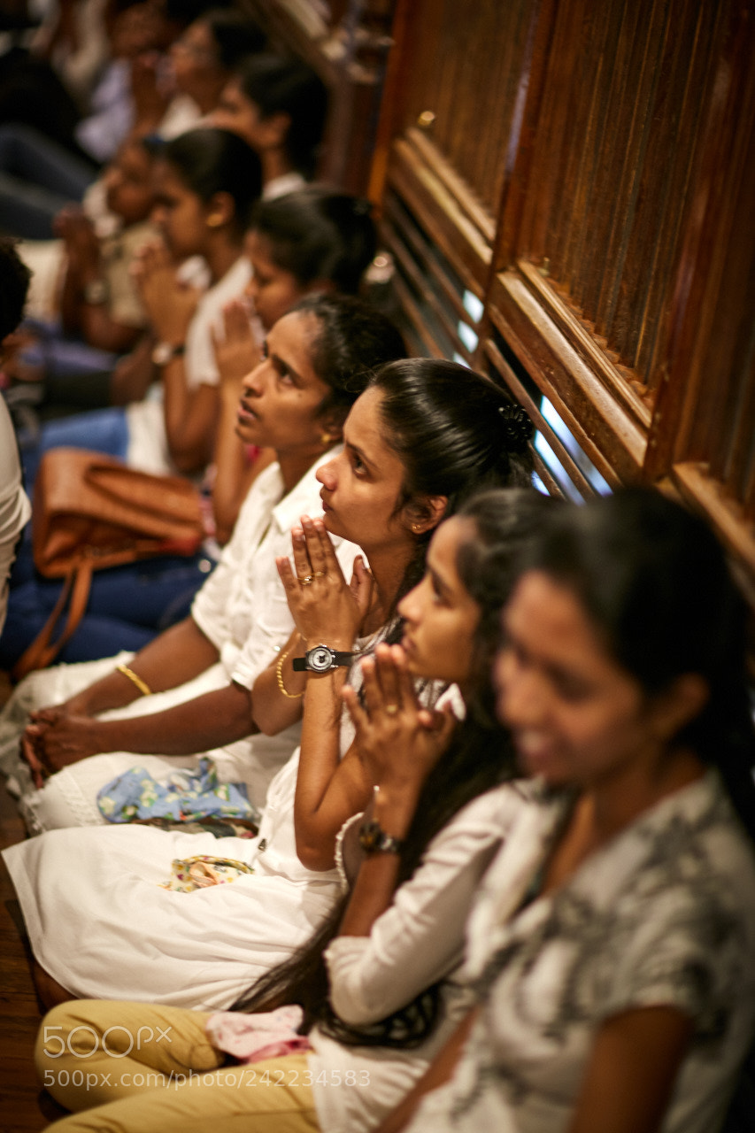 Canon EOS 5DS R sample photo. Sri lanka photography