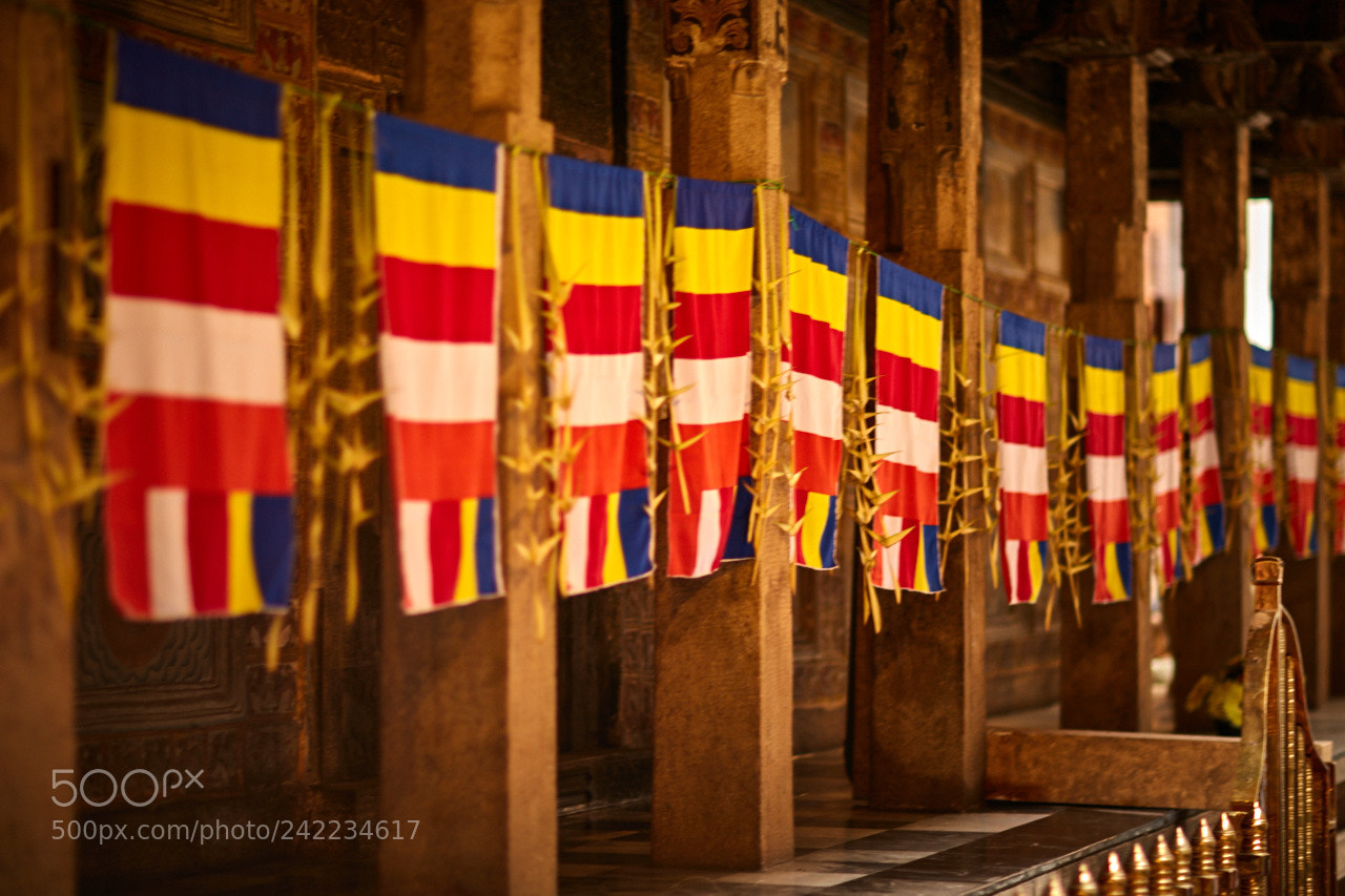 Canon EOS 5DS R sample photo. Sri lanka photography