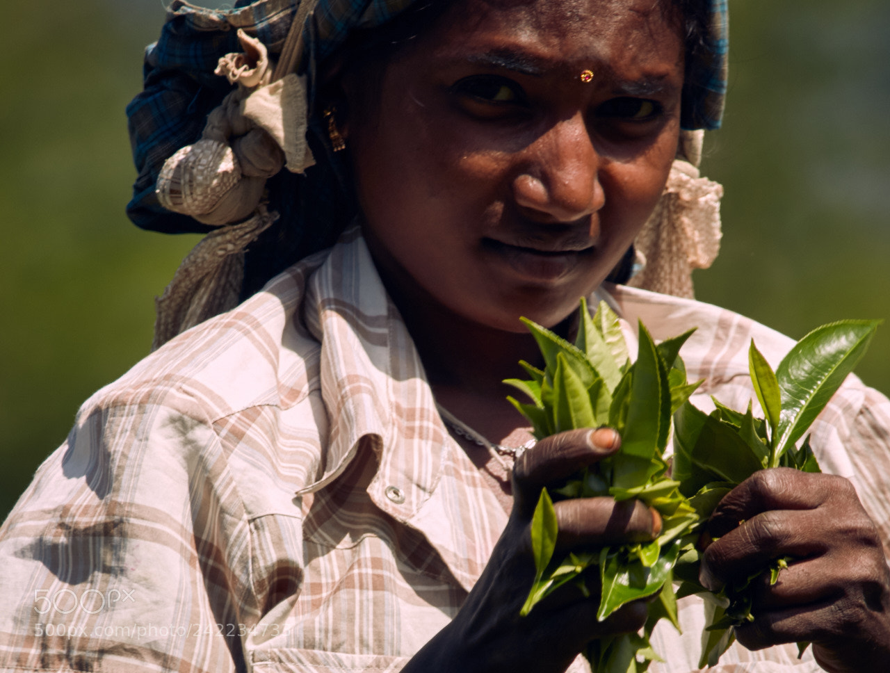 Canon EOS 5DS R sample photo. Sri lanka photography