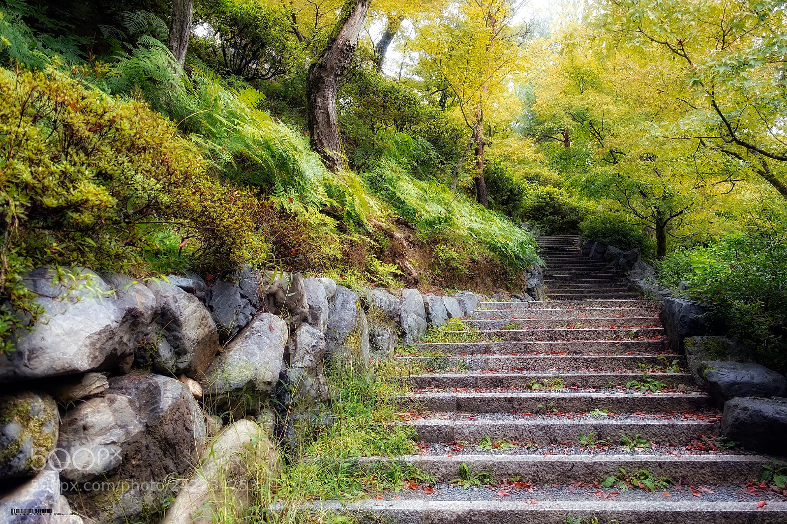 Sony Cyber-shot DSC-RX100 III sample photo. Garden at tofuku-ji temple photography
