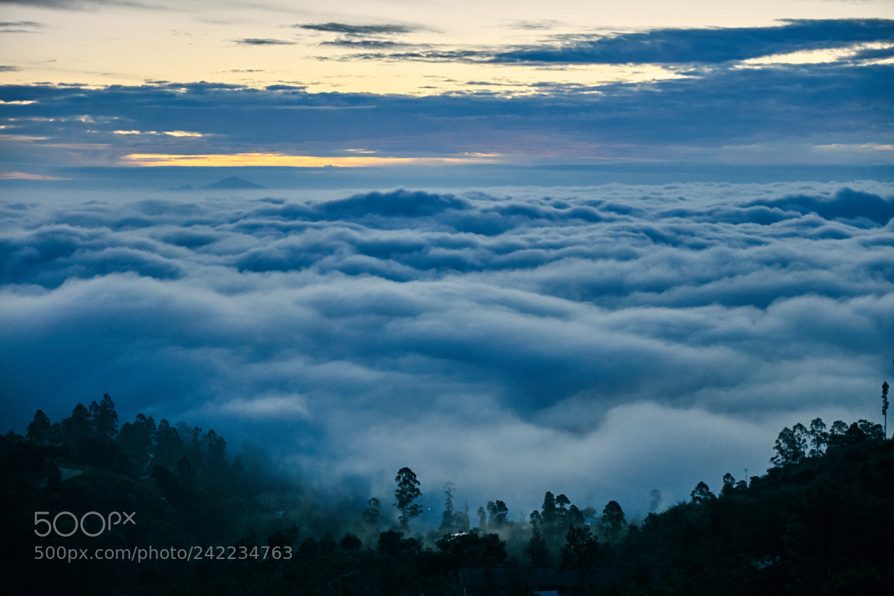 Canon EOS 5DS R sample photo. Sri lanka photography