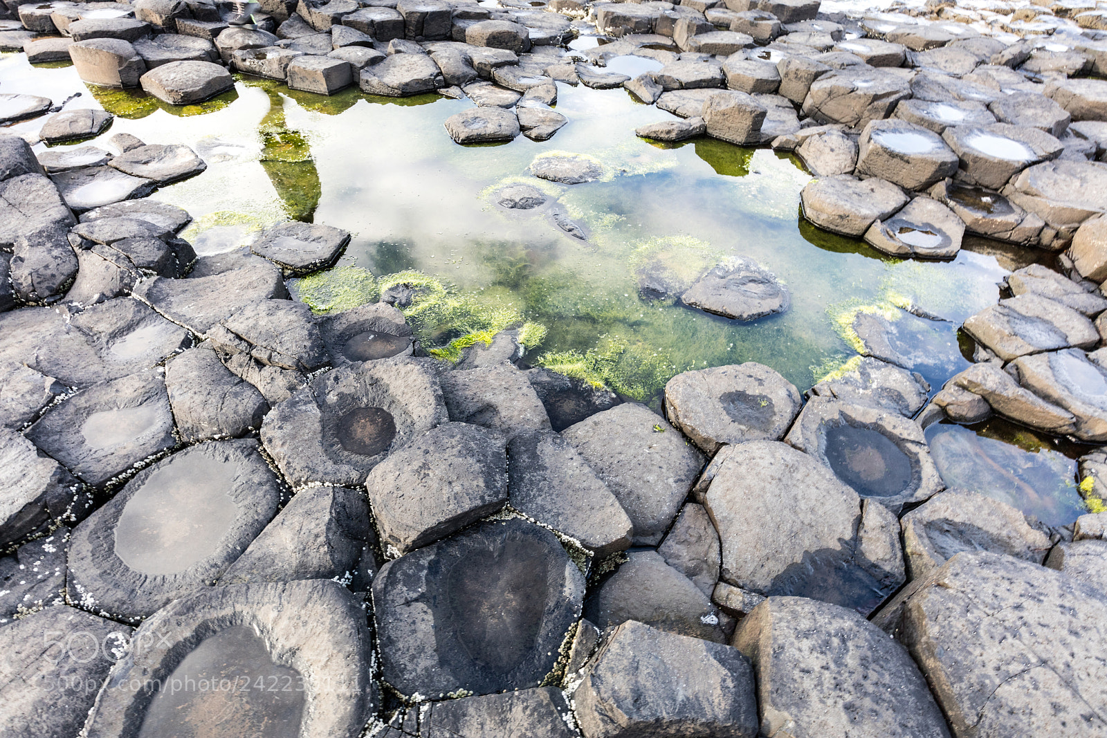 Canon EOS 5DS R sample photo. Giants causeway, northern ireland photography