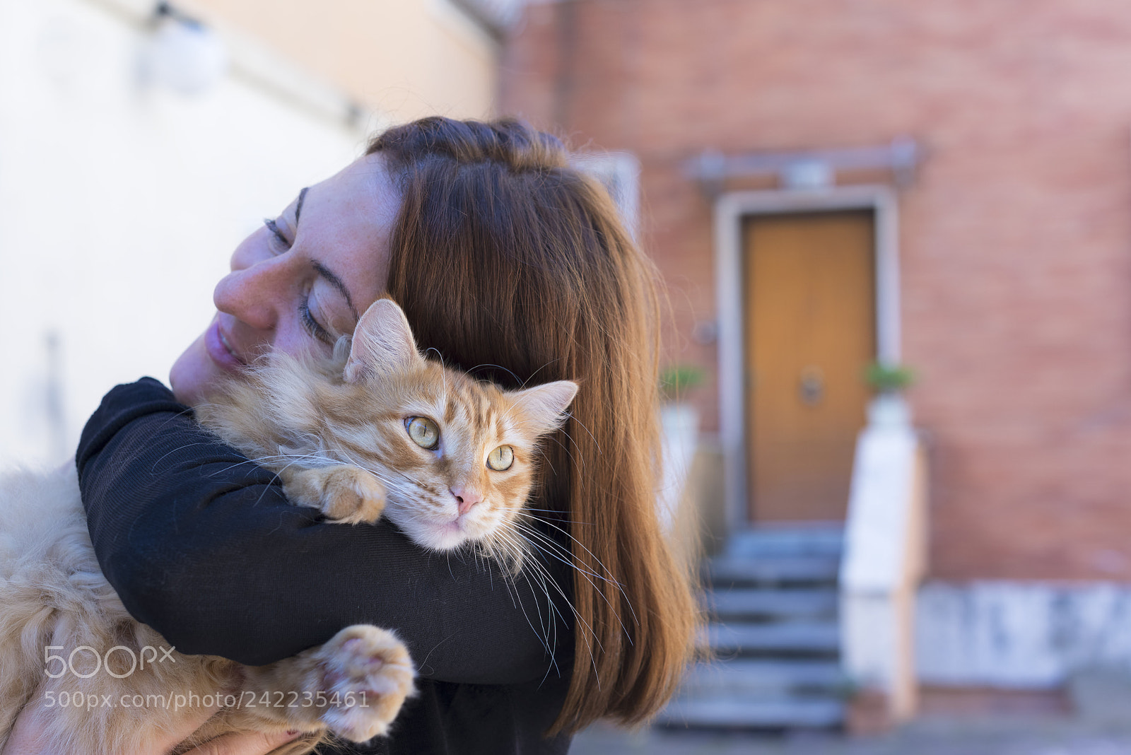 Nikon D600 sample photo. Ginger and more ginger photography