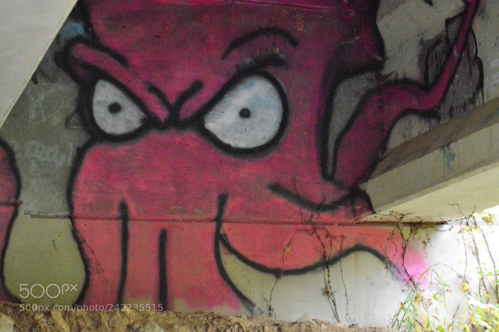 Nikon D3200 sample photo. Angry octopus photography