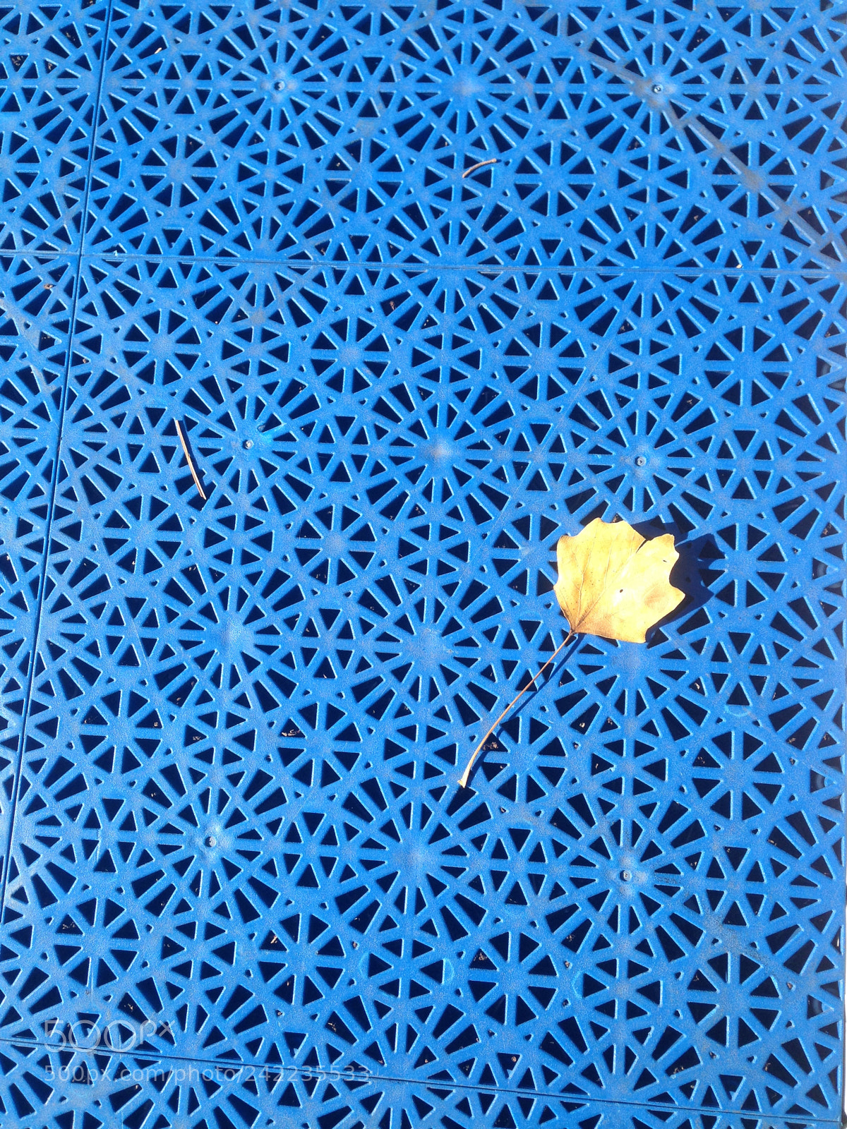 Apple iPhone 5 sample photo. Playground photography
