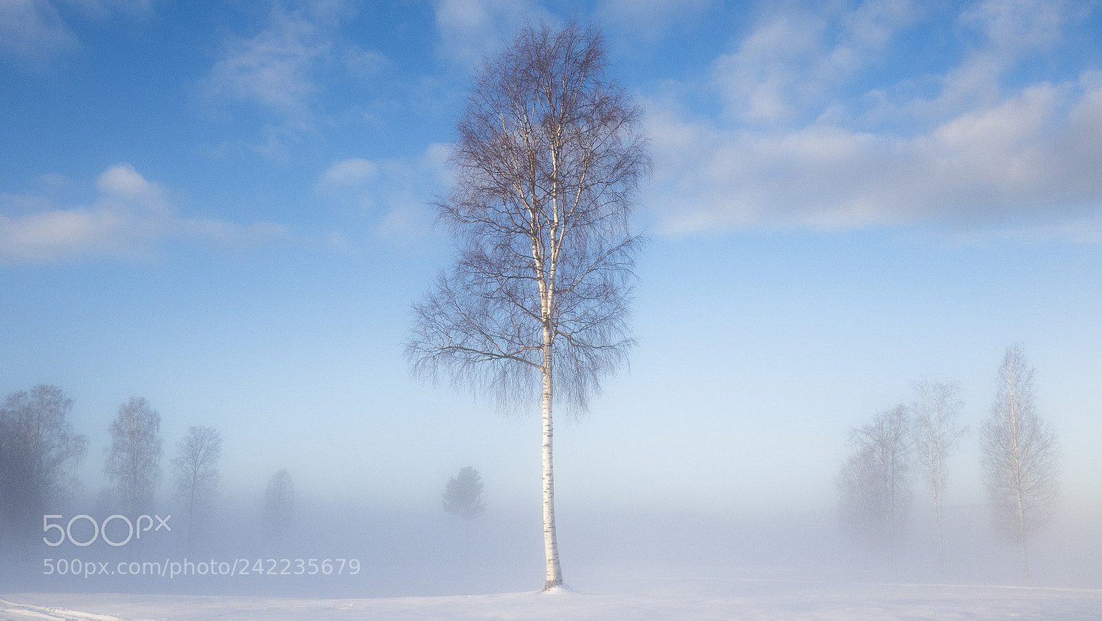 Olympus PEN-F sample photo. A cold winter morning #5 photography