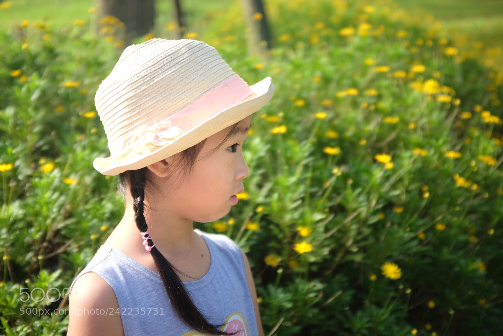 Fujifilm X100T sample photo. Yellow flower photography
