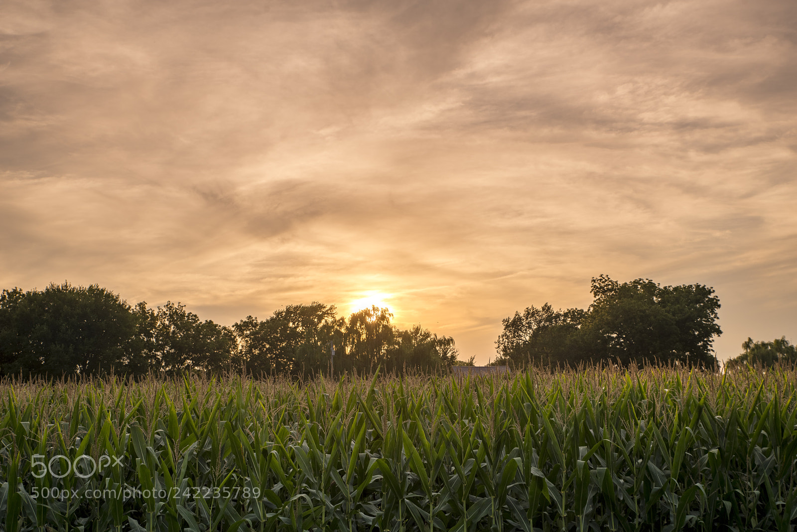 Nikon D800 sample photo. Sunset to remember photography
