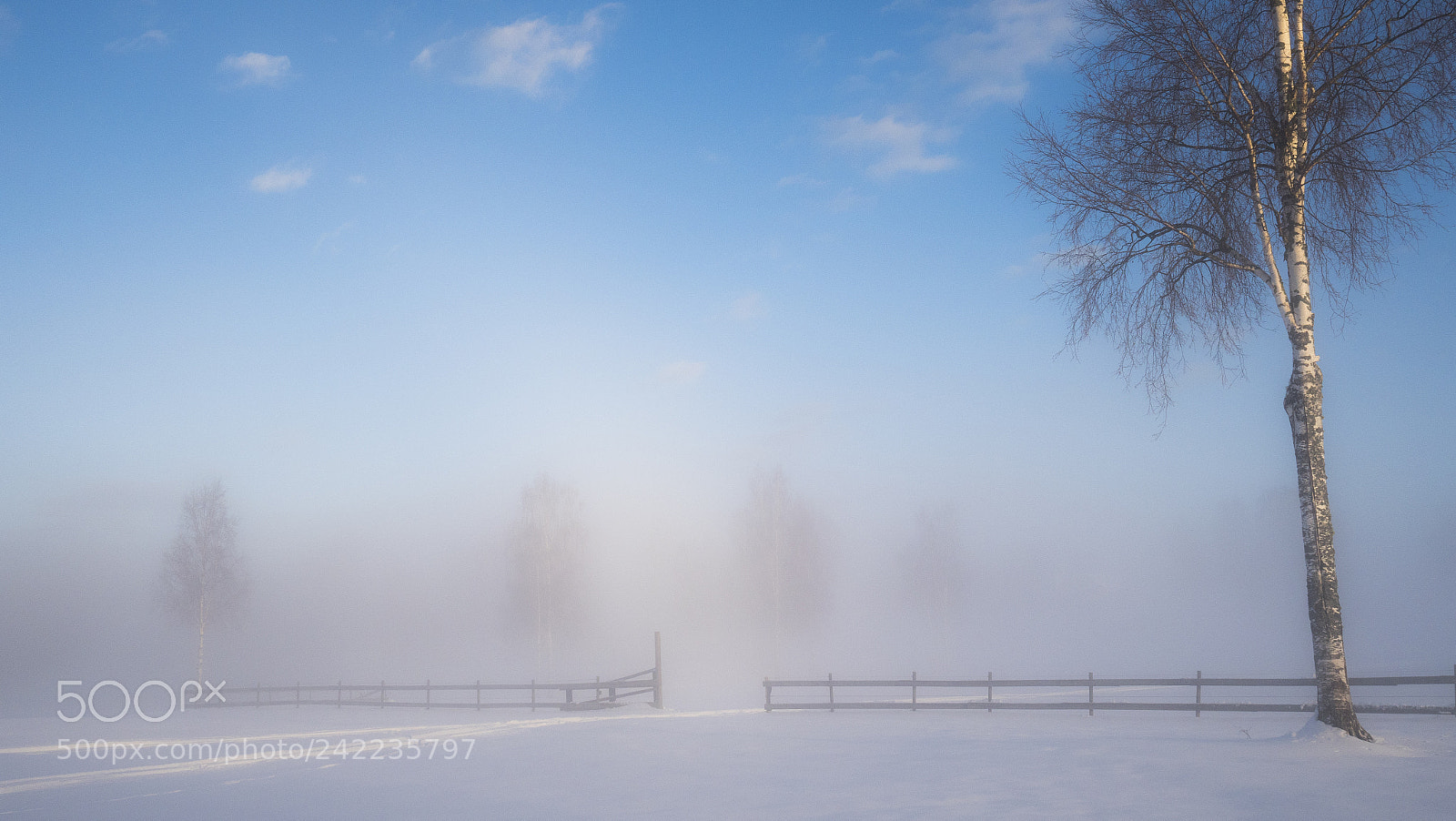 Olympus PEN-F sample photo. A cold winter morning #6 photography