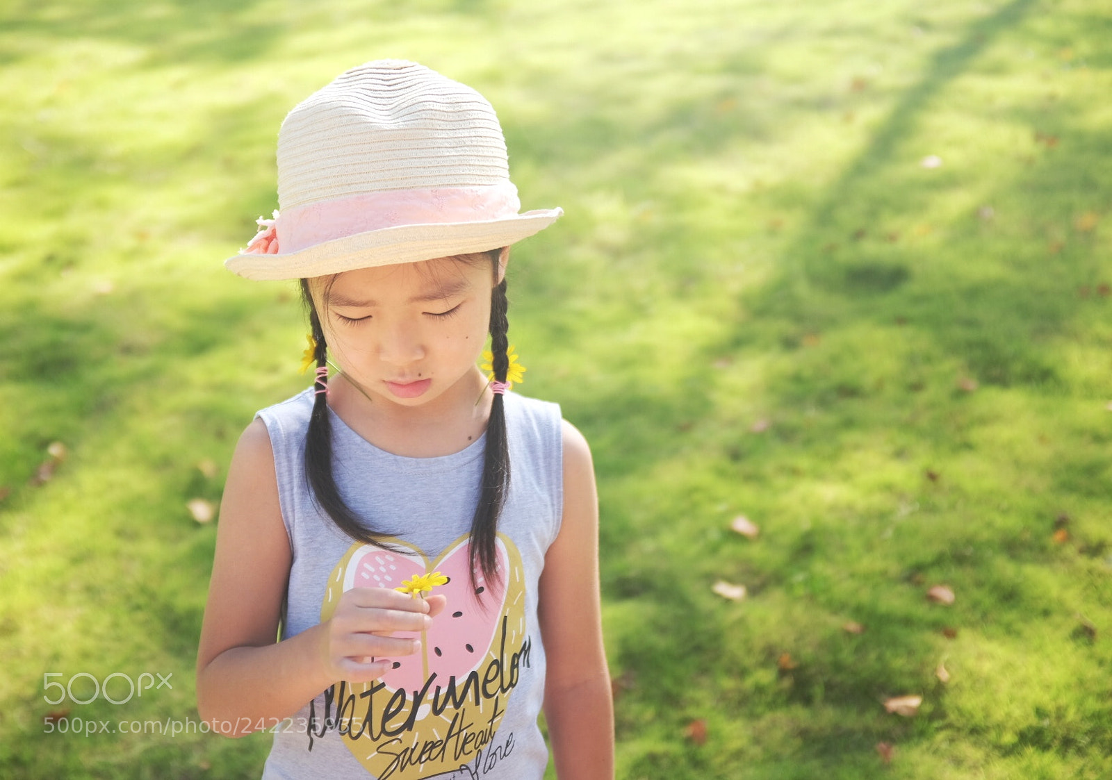 Fujifilm X100T sample photo. Yellow flower photography