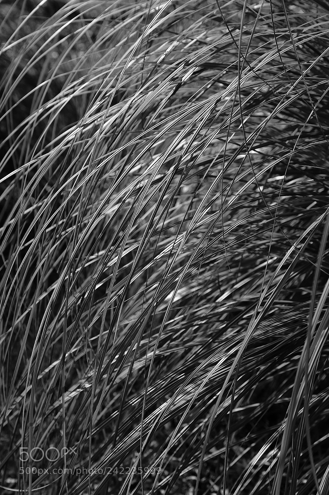 Canon EOS 6D Mark II sample photo. Untitled photography