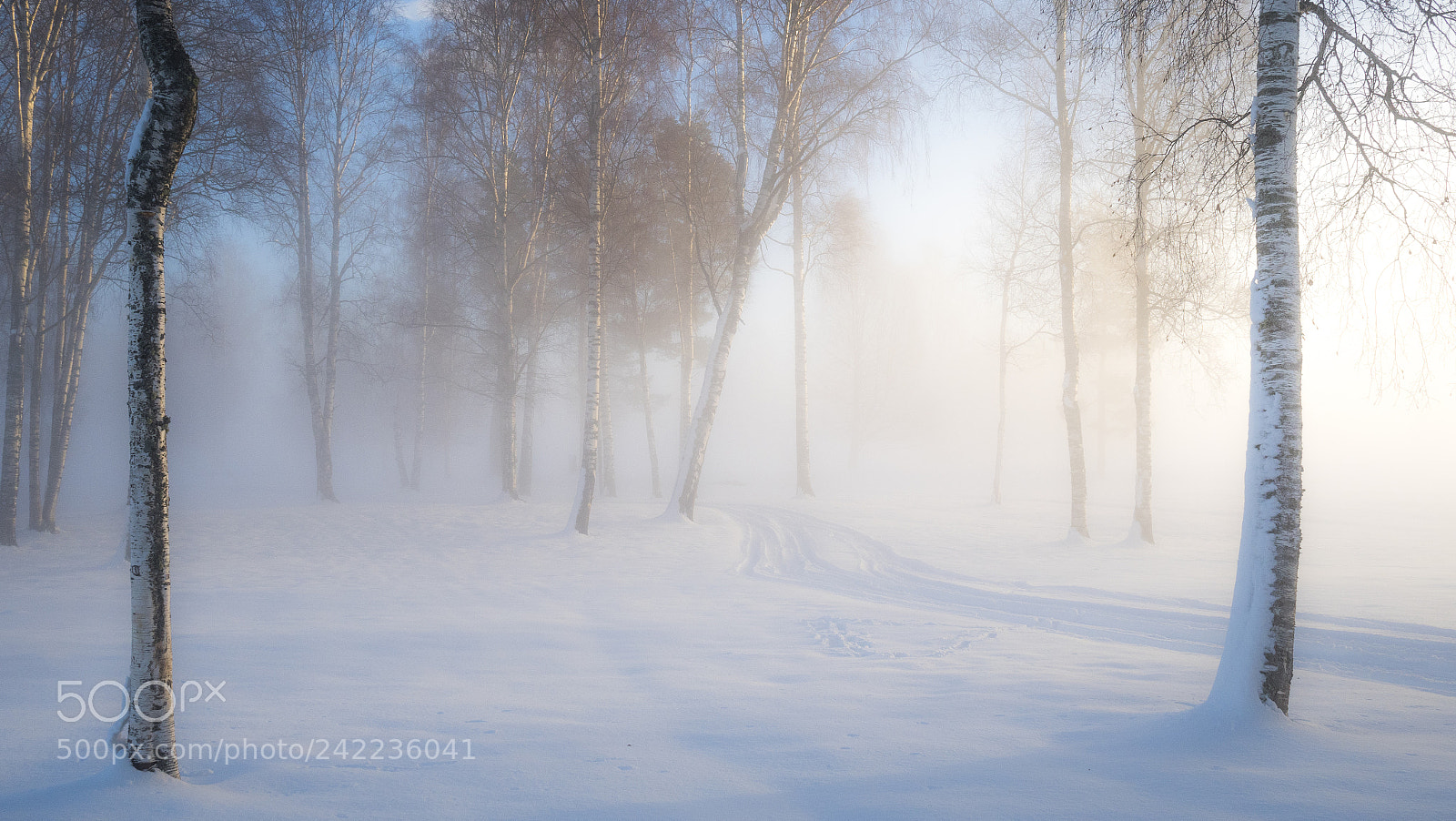 Olympus PEN-F sample photo. A cold winter morning #7 photography