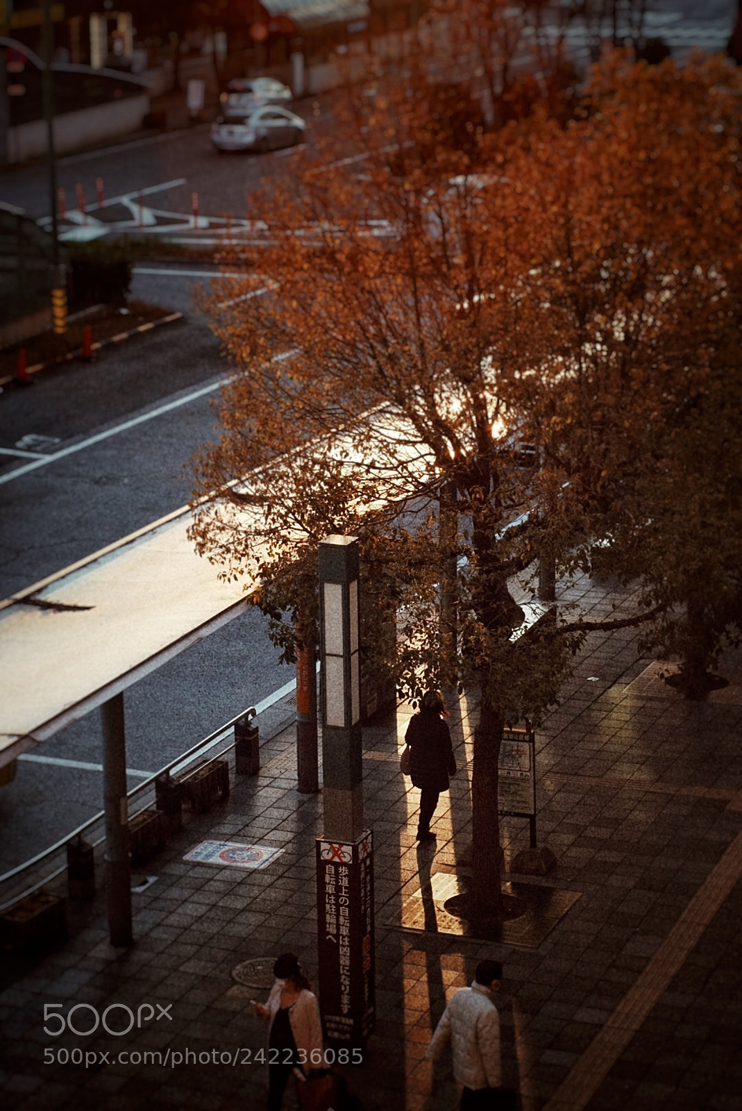 Sony a7 sample photo. Wakayama station photography
