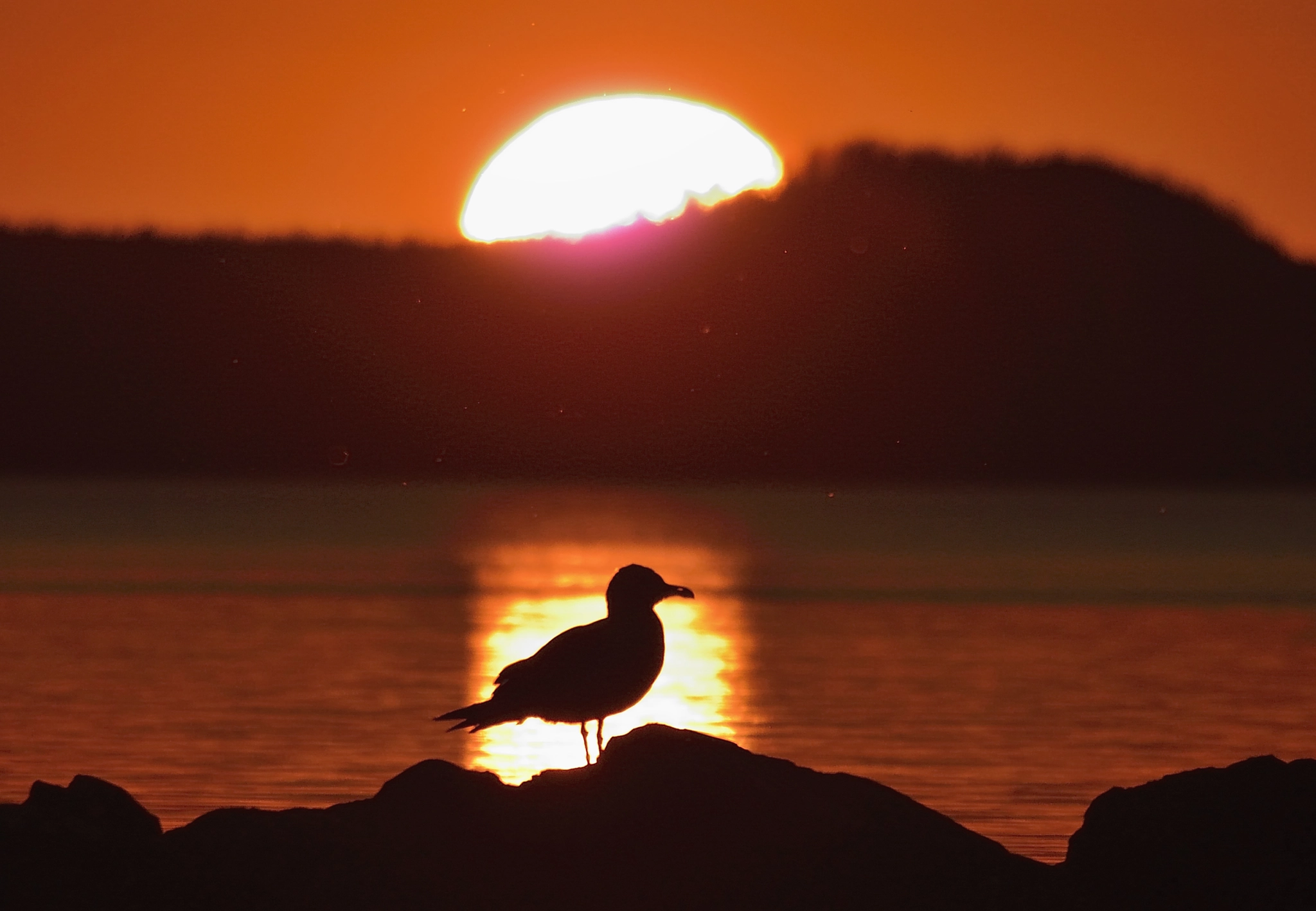 Nikon 1 V2 sample photo. Sunset photography