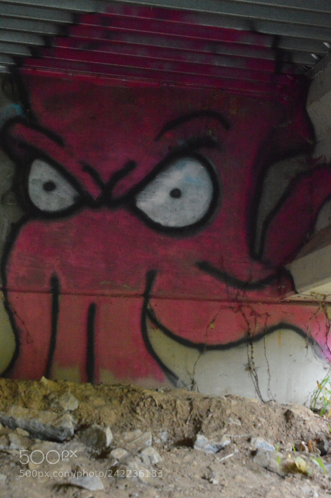 Nikon D3200 sample photo. Angry octopus (2) photography